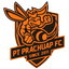 teamLogo