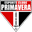 Home team logo