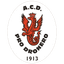 Pro Dronero logo