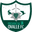 Home team logo