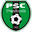 Home team logo
