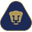 Home team logo