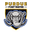 Away team logo