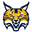 Away team logo