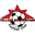 Home team logo