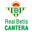Home team logo