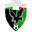 Home team logo