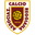 Home team logo