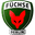 Home team logo