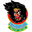 Home team logo