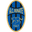 Home team logo