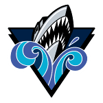 Рімускі Океанік logo