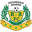 Home team logo