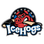 teamLogo