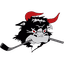 Rødovre Mighty Bulls