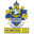 Home team logo