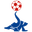 Home team logo