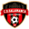 Home team logo