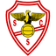 SC Salgueiros logo