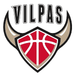 Salon Vilpas Vikings logo