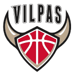 Salon Vilpas Vikings