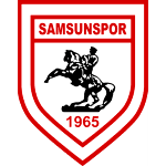 Samsunspor U19 logo