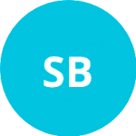 Sanchez Bronzetti E. logo