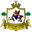 Home team logo