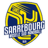 Sarrebourg Moselle Sud Handball