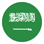Saudi Arabia logo