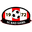 Home team logo