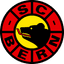 SC Bern