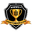 Home team logo
