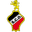 Home team logo