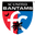 Home team logo