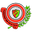 Home team logo