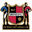 Home team logo