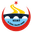 Home team logo