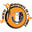 Home team logo
