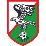 Sokol Kleczew logo