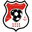 Home team logo
