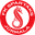 Home team logo