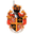 Home team logo