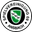 Home team logo