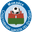 Home team logo