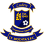 teamLogo
