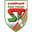 Home team logo