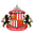 Home team logo