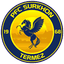 Surkhon Termez logo
