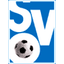 SV Oberachern logo